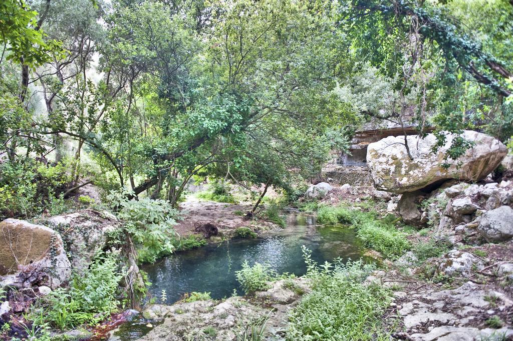 Villa Vela 博尔戈阿尔维里亚旅馆 外观 照片